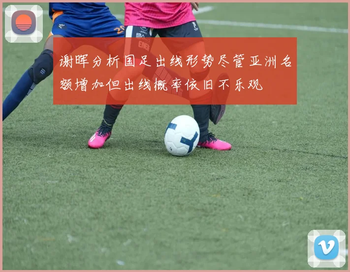 谢晖分析国足出线形势尽管亚洲名额增加但出线概率依旧不乐观