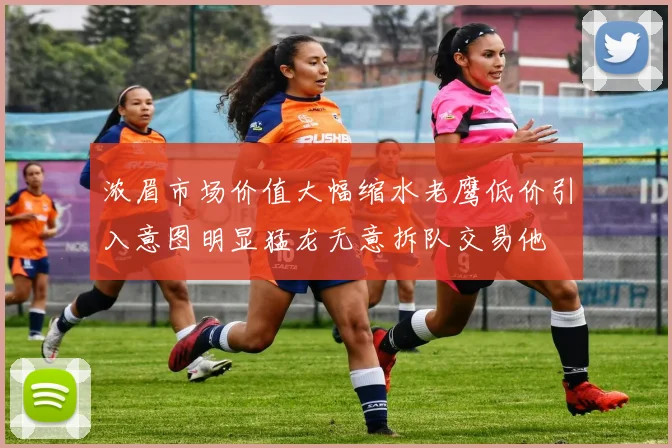 浓眉市场价值大幅缩水老鹰低价引入意图明显猛龙无意拆队交易他